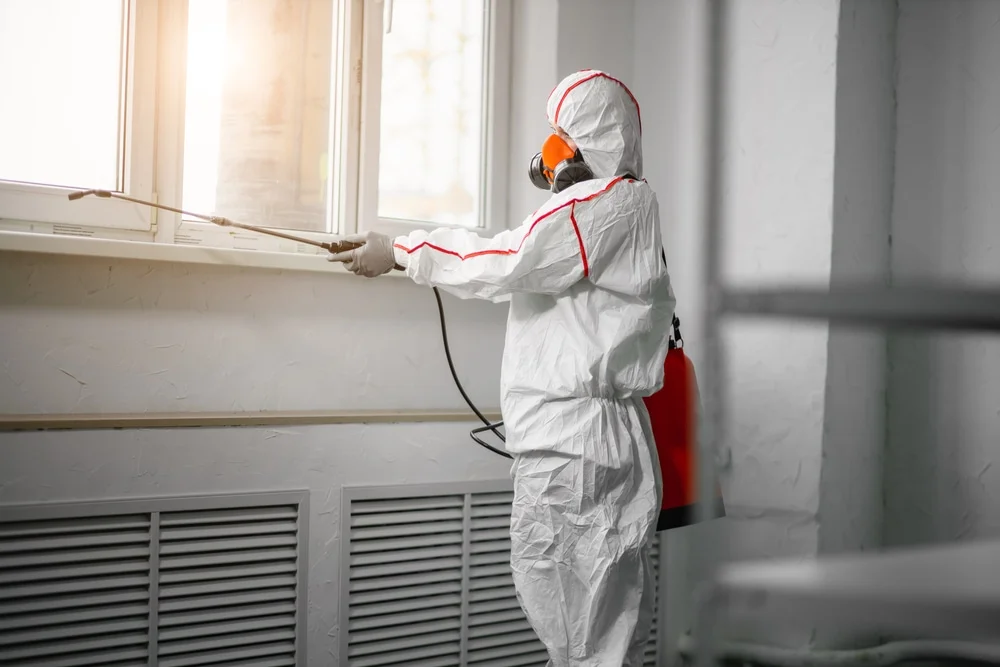 Professional mold remediation services in Tooele, UT